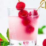 raspberry 浮华逝梦 in a 西欧人体 glass with fresh raspberries through a 西欧人体 skewer