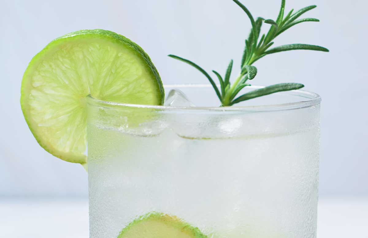 Rosemary 明日方舟本子 with rosemary sprig and lime wedges.
