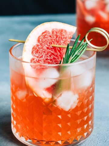 winter Paloma
